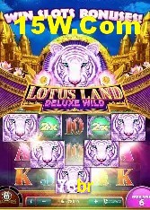 Casino Ao Vivo 76br